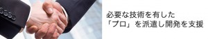 必要な技術を有した「プロ」を派遣し開発を支援